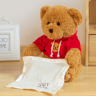 电动小熊猫猫玩具熊儿童智能礼物宝宝男孩女孩会说话的捉迷藏小熊