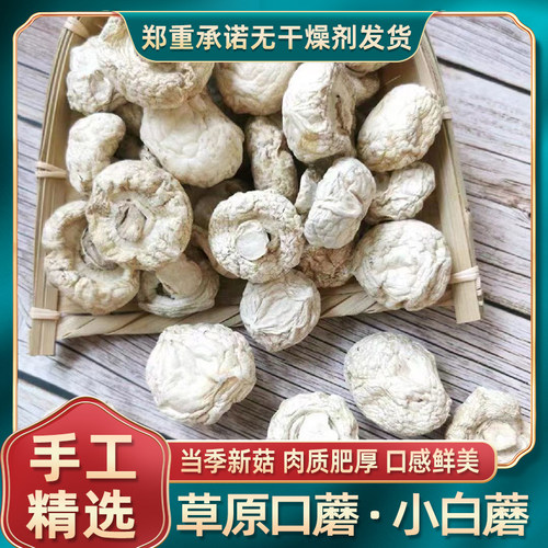 口蘑干货张家口口蘑双孢菇食材
