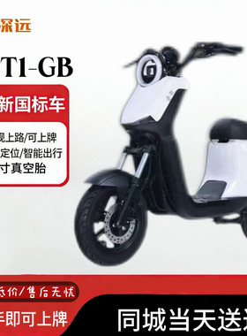 深远gt1-GB新国标电动车亲子代步电瓶车智能小牛同款高续航