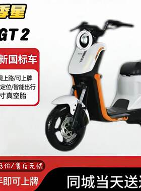 新新国标四季星GT2十寸成人家用代步智能电动车