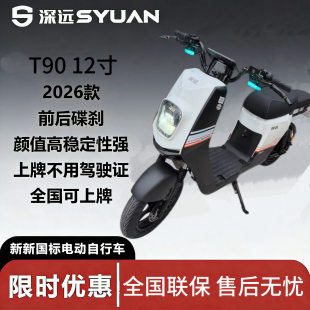 深远新国标T90 12寸外卖成人家用代步外卖智能电动车