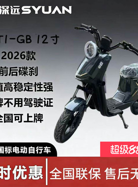 新新国标深远GT1-GB 12寸成人家用代步外卖智能电动车