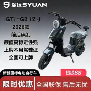 新新国标深远GT1 12寸成人家用代步外卖智能电动车