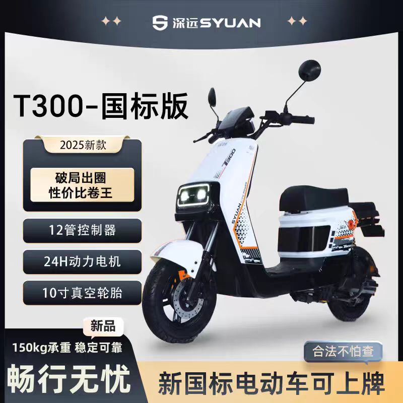 T300豪华版家用电动自行车