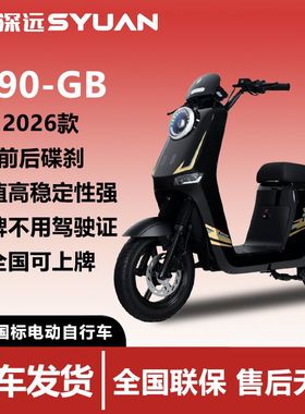 新新国标深远T90-GB10寸成人家用代步智能电动车