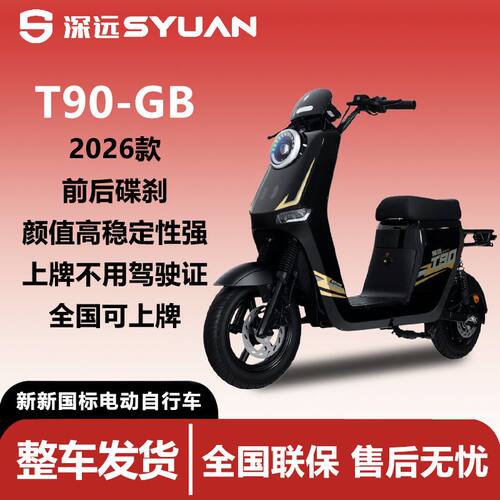 新新国标深远T90-GB10寸成人家用代步智能电动车