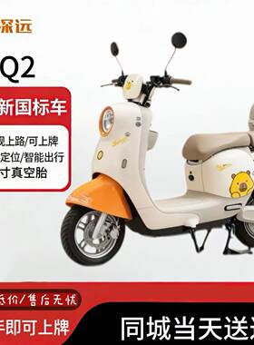 新新国标深远Q2可爱家用女士通勤代步支持蓝牙解锁电动自行车