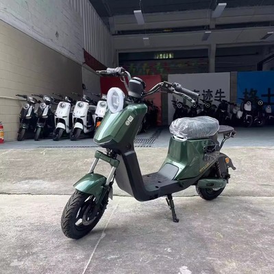 深远最新款gt1十寸版本跑外卖家用神车锂电池高速电动自行车