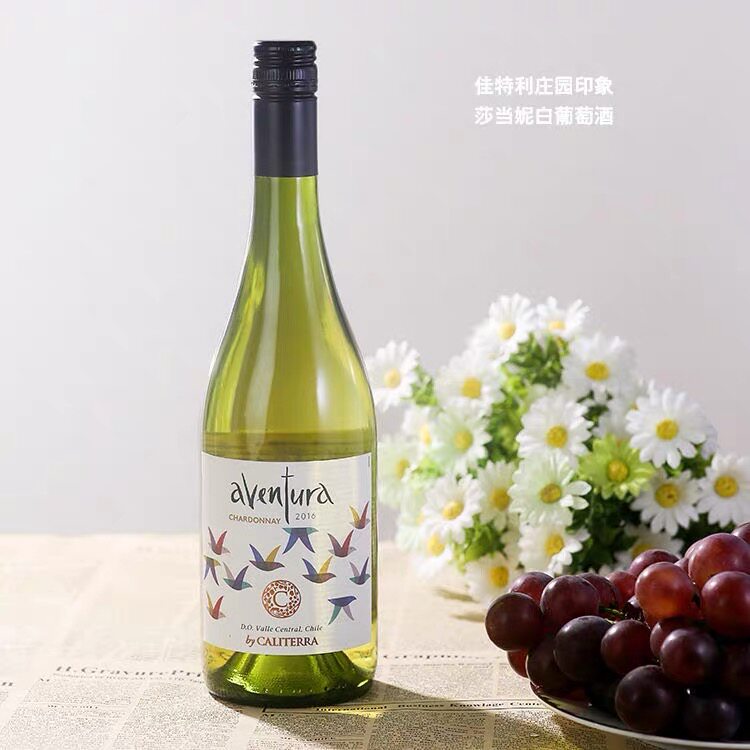 佳特利庄园印象莎当妮白葡萄酒智利原瓶进口干白葡萄酒750ml清爽
