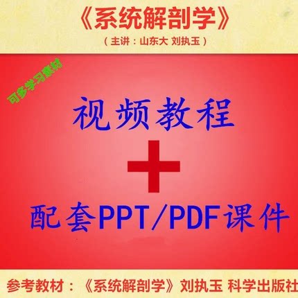 山东大 刘执玉 系统解剖学 P设计素材/源文件