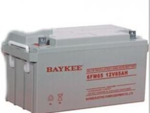 铅酸免维护蓄电池包邮