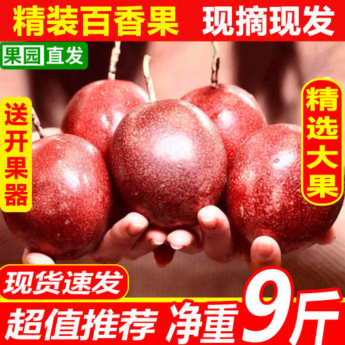 新鲜百香果大果商超品质