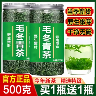 云南野生毛冬青茶叶官方正品特级中药材小叶苦丁茶叶的功效泡水喝