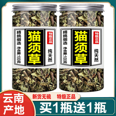 野生猫须草排降酸高尿酸茶特级正品中药肾茶的功效痛风降尿酸茶包