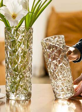 花瓶摆件客厅插花大玻璃透明水养玫瑰高级感鲜花轻奢圆柱网红水晶