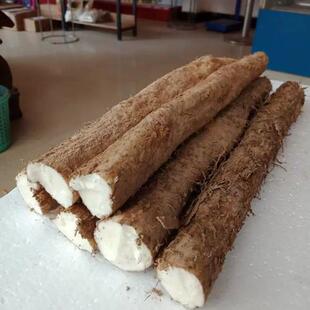 江西特产万合竹篙薯农家自种泰和特产折断箱装现挖现发新鲜到家