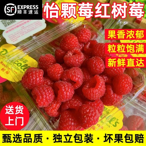 云南怡颗莓红树莓大果桑葚