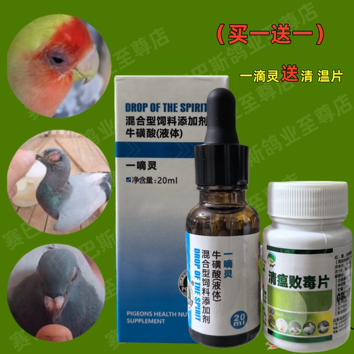 赛信鸽子鹦鹉鸟儿单眼伤风