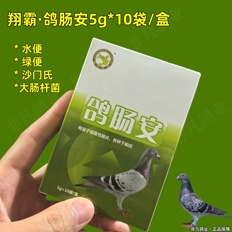 翔霸鸽肠安50g/粉赛鸽信鸽子副伤韩沙门市大肠杆菌水便绿希便用品