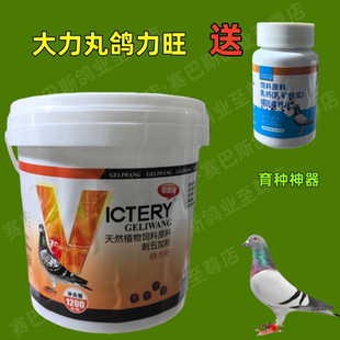 汉诺威大力丸鸽力旺1200粒幼鸽丸育雏宝比赛补体提速赛信鸽子用品