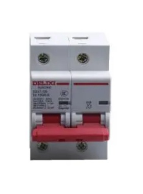 DELIXI德力西 DZ471252D100 大电流断路器DZ47-125 2P li(D) 100A