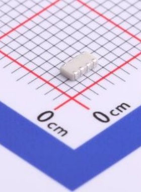 CA0612KRNPO9BN101 排容100pFX4±10% 50V封装：0612 (国巨)YAGEO