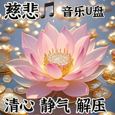 中国风传统慈悲静心音乐USB随身碟高品质USB随身碟车载U盘MP3格式