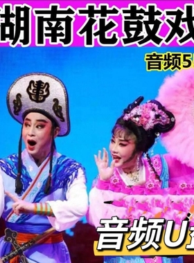 湖南花鼓戏TF内存卡地方戏曲收音机老人随身听音频卡