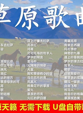 经典草原天籁歌曲车载音乐u盘天籁之音高原情歌藏歌金曲高音质mp3