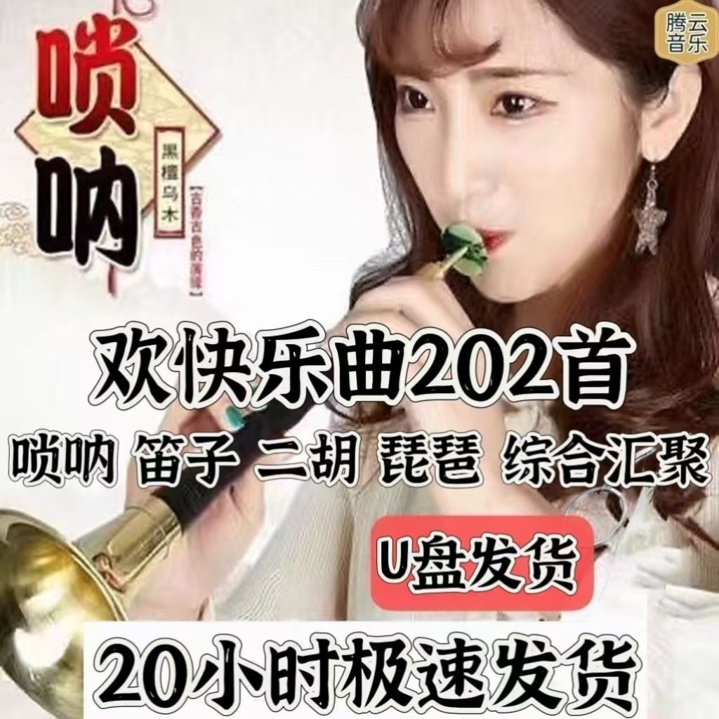 喜庆唢呐笛子二胡琵琶U盘吹奏曲欢快MP3民族乐曲音频唢呐独奏曲