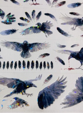 乌鸦预言.手账pet胶带暗黑黑色羽毛鸟咕卡流麻拼贴装饰素材包整卷