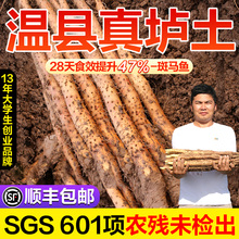 河南焦作温县铁棍山药垆土淮山药正宗怀山药官方旗舰店特产新鲜