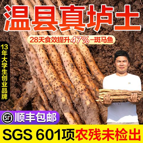 怀涛温县垆土铁棍山药正宗怀山药