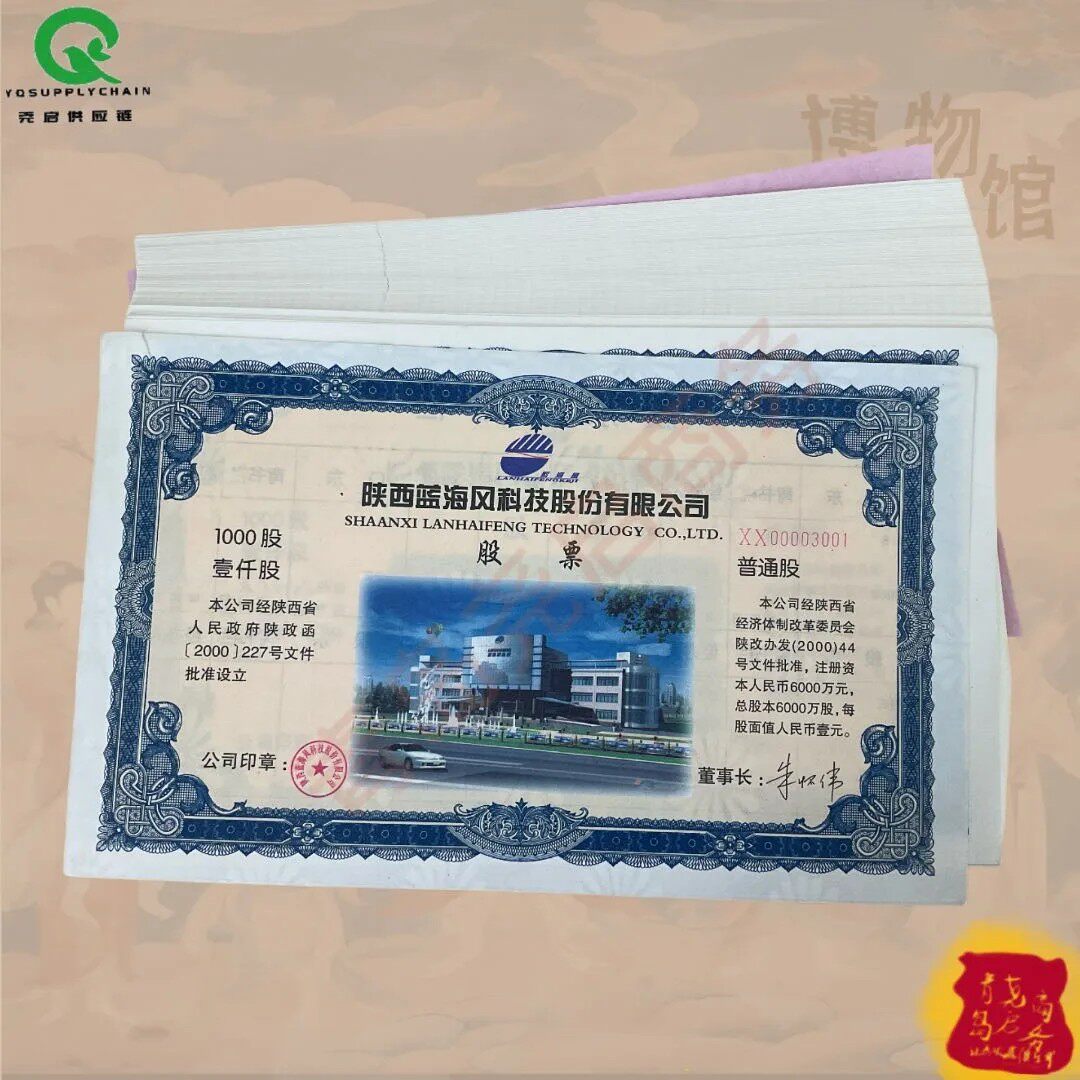 藏品怀旧:陕西蓝海风科技公司股票大幅 金融票商务礼增值保值品