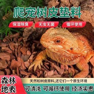 爬宠垫材打磨树皮守宫睫角陆龟爬虫雨林缸森林地表造景躲避装 饰