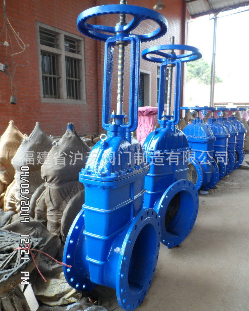 沪天阀门 球墨铸铁法兰明杆闸阀rrhx-16 弹性明杆座封闸阀dn500