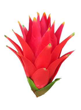 轻奢落地叶脉干花大牡丹摆件花艺