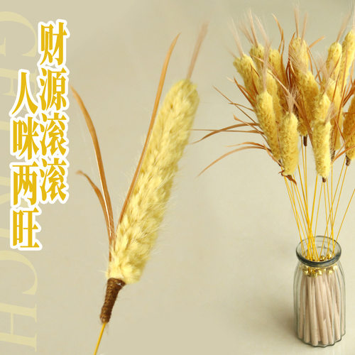 原创新品创意麦穗逗猫棒磨牙耐咬猫猫铃铛玩具宠物用品工厂批发