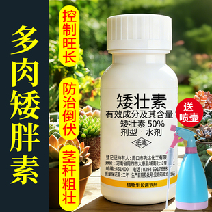 矮壮素花卉专用水仙多肉矮胖素爆芽增色防徒长植物控旺矮壮剂农药