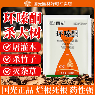 环嗪哃烂根大树专用药杂树烂根剂正品大树烂根药强力除草枯树王