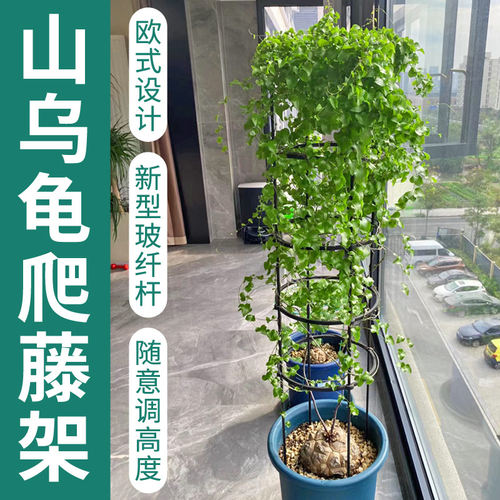 爬藤架欧式风格可叠加高度