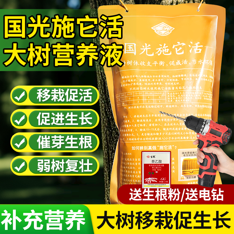 大树营养液补充营养促生长