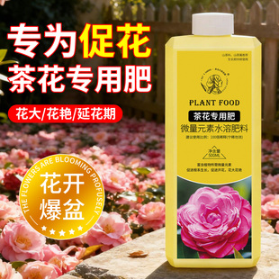 茶花专用肥营养液促进开花补酸营养液室内盆栽植物山茶花杜鹃茉莉