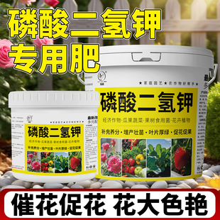 磷酸二氢钾肥料花卉专用促花钾磷酸二氢钾官方旗舰店通用养花肥料