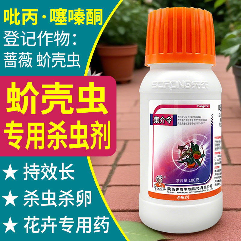蚧壳虫专用药介壳虫专用杀虫剂