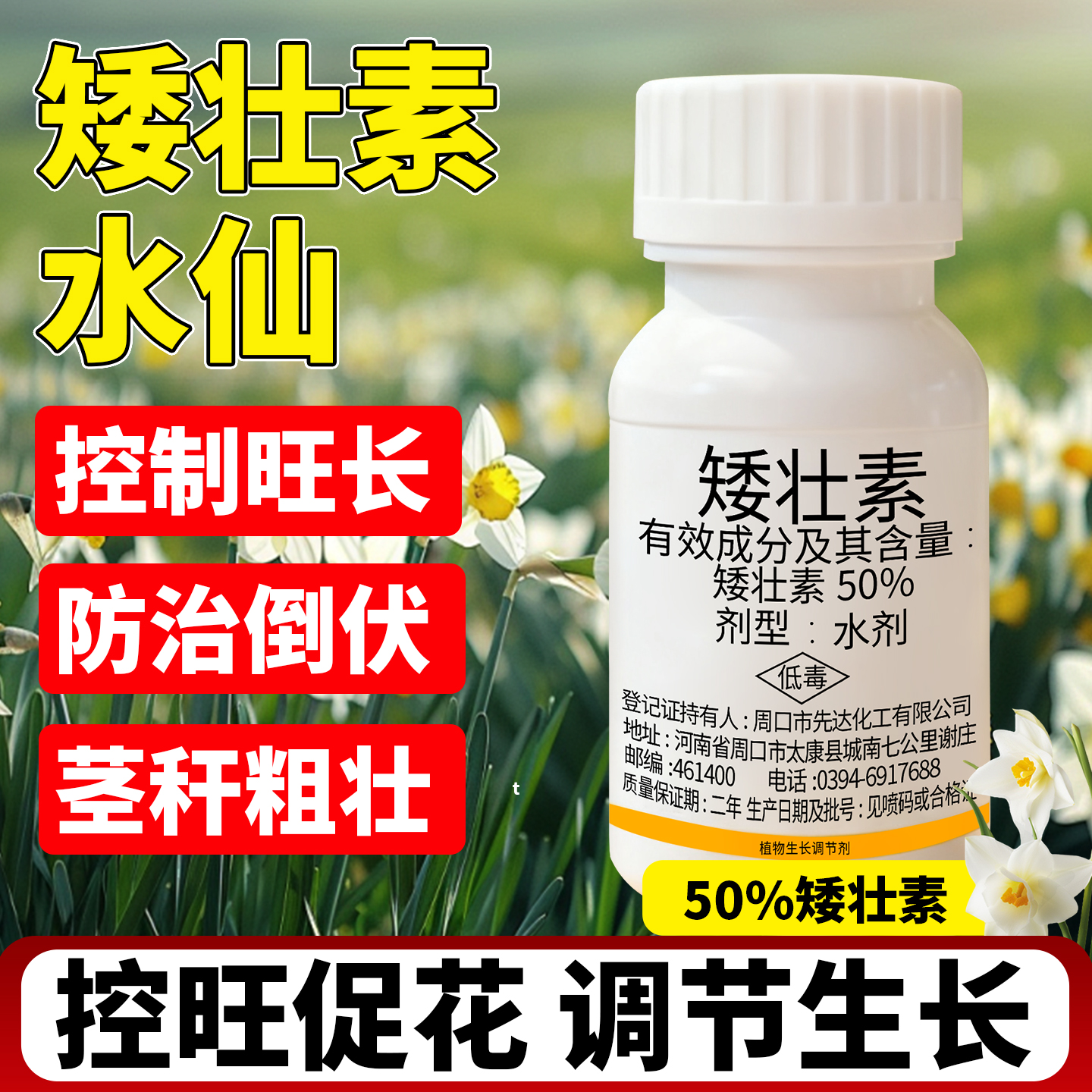 【控旺促花调节生长】矮壮素