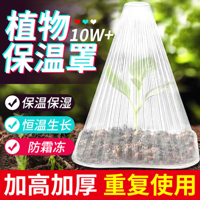 育苗保护罩大号种植物蔬菜秧苗幼苗保温防冻特大号菜苗种菜保温罩