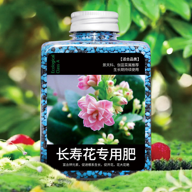 长寿花肥料专用肥开花植物花草营养肥花肥磷酸二氢钾肥料花卉专用