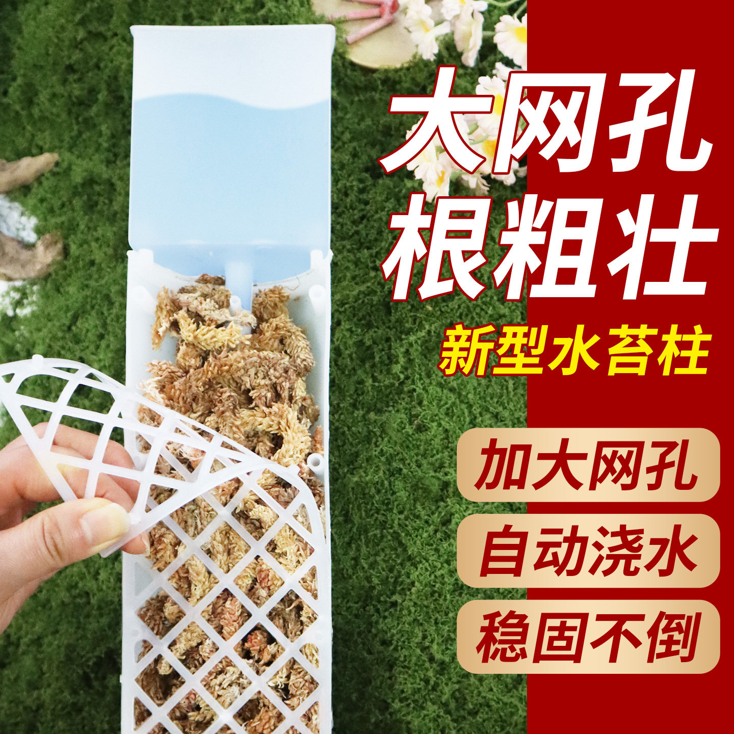 【大网孔气生根易扎根】水苔柱图片