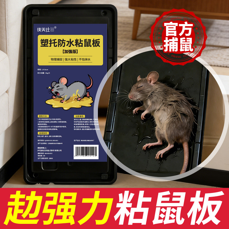 老鼠贴强力粘鼠板强力胶粘大老鼠加大加厚超捕鼠器神窝一端老鼠粘,居家日用,灭鼠笼/捕鼠器,淘宝优惠券,粉丝福利购,淘宝优惠卷